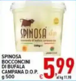 Iper Triscount SPINOSA BOCCONCINI DI BUFALA CAMAPANA D.O.P. offerta