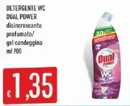 Sisa Detergente WC Dual Power offerta
