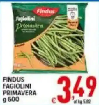 Iper Triscount Findus Fagiolini Primavera offerta