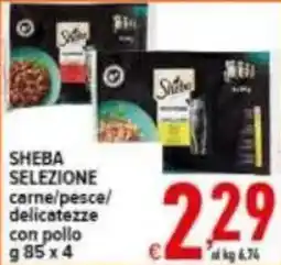 Iper Triscount Sheba selezione carne/pesce/delicatessen con pollo offerta