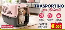 Orizzonte TRASPORTINO CROSSLAND offerta
