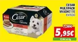 Orizzonte Cesar Classiche offerta