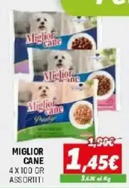 Orizzonte Miglior cane offerta