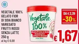 Famila Market Vegetale 100% Gelato Fior di Soia Bianco Variegato Frutti Rossi offerta