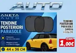 Orizzonte ANETA AUTO TENDINE POSTERIORI PARASOLE offerta