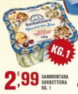 Conté Supermercati Sammontana Sorbettiera Delizie del Sud offerta
