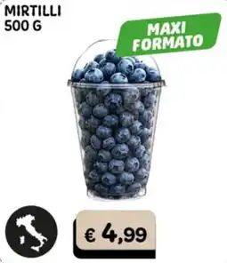 Gala Supermercati Mirtilli offerta