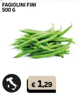 Gala Supermercati FAGIOLINI FINI offerta