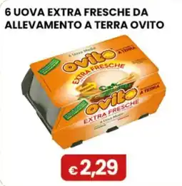Gala Supermercati Uova fresche Ovito offerta