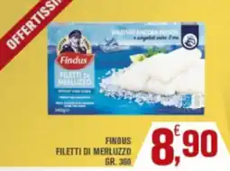 Conté Supermercati Findus Filetti di Merluzzo offerta
