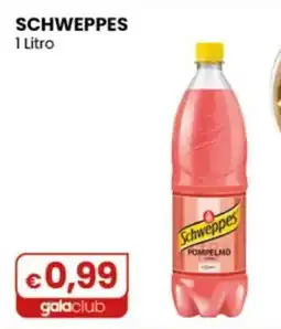 Gala Supermercati Schweppes Pompelmo offerta