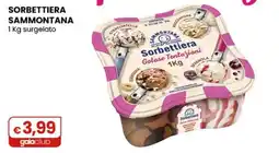 Gala Supermercati Sorbettiera Sammontana offerta