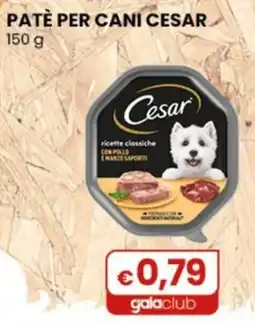 Gala Supermercati Patè per cani Cesar offerta