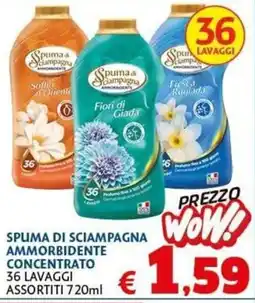 Casa & Co Spuma di Sciampagna Ammorbidente offerta
