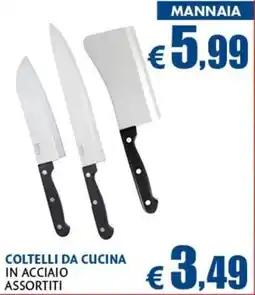 Europlanet Casa COLTELLI DA CUCINA IN ACCIAIO ASSORTITI offerta