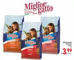 Deco Superstore Miglior gatto Croccantini offerta