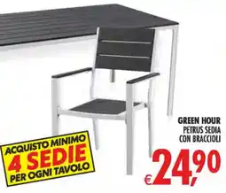 Deco Superstore Green hour petrus sedia con braccioli offerta