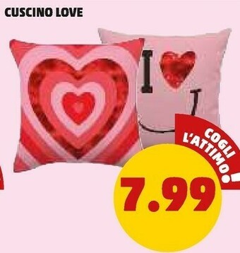 PENNY Plaid offerta