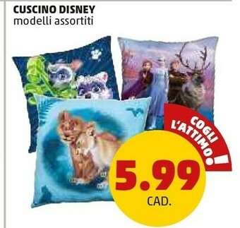 PENNY Cuscino offerta