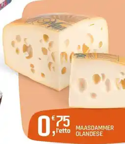 A&O MAASDAMMER OLANDESE offerta
