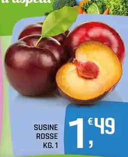 A&O SUSINE ROSSE offerta