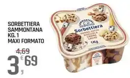 A&O Sorbettiera Sammontana offerta
