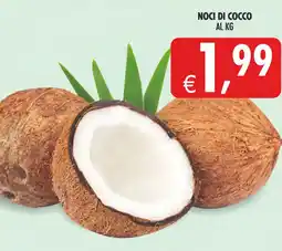 Deco Superstore Noci di cocco offerta