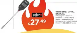 Progress Weber termometro a lettura istantanea offerta