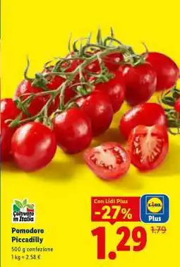 Lidl Pomodoro Piccadilly offerta
