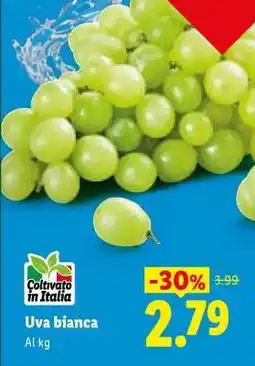 Lidl Uva Bianca offerta