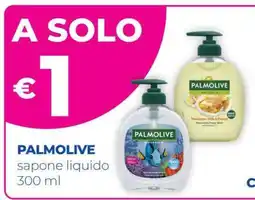 Acqua & Sapone PALMOLIVE sapone liquido 300 ml offerta