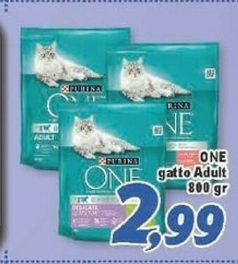 Supermercati Emark Cibo per gatti offerta