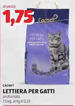 ALDI Cachet Lettiera per gatti profumata offerta