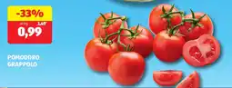 ALDI Pomodoro grappolo offerta