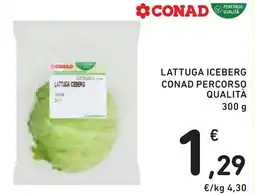Spazio Conad LATTUGA ICEBERG CONAD PERCORSO QUALITÀ offerta