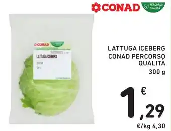 Spazio Conad LATTUGA ICEBERG CONAD PERCORSO QUALITÀ offerta