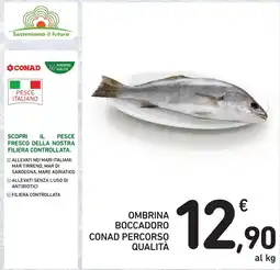 Spazio Conad OMBRINA BOCCADORO CONAD PERCORSO QUALITÀ offerta