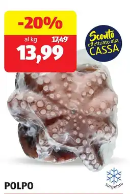 ALDI POLPO offerta