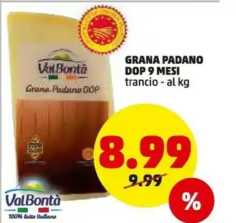 PENNY Grana padano 9 mesi offerta