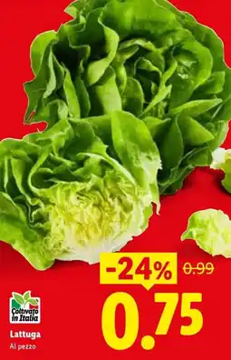 Lidl Lattuga offerta