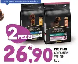 Ayoka Pro plan croccantini offerta