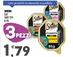 Ayoka Sheba cat offerta