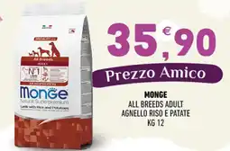 Ayoka Monge all breeds adult agnello riso e patate offerta