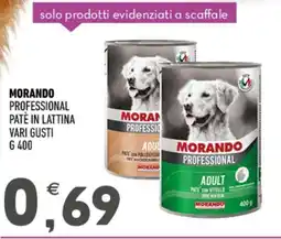Ayoka Morando professional pate in lattina offerta