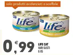 Ayoka Life Cat offerta