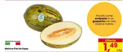 Eurospar Melone Piel de Sapo offerta