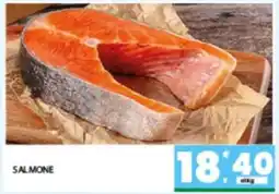 Eurospar Salmone offerta