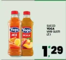 Eurospar SUCCO YOGA offerta