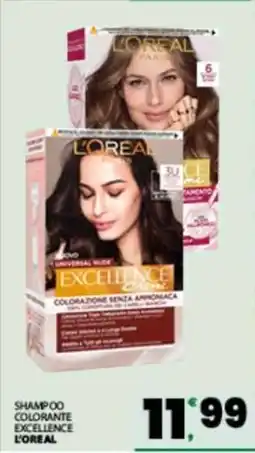 Eurospar SHAMPOO COLORANTE EXCELLENCE offerta