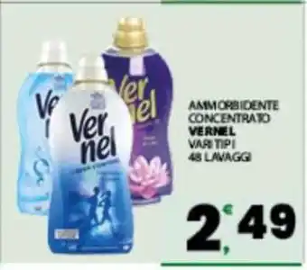 Eurospar VERNEL offerta